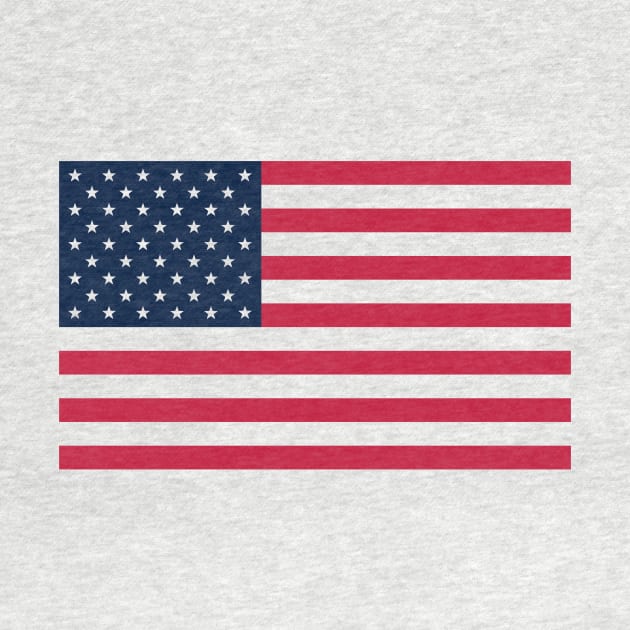 USA Flag Transparent by MrLarry